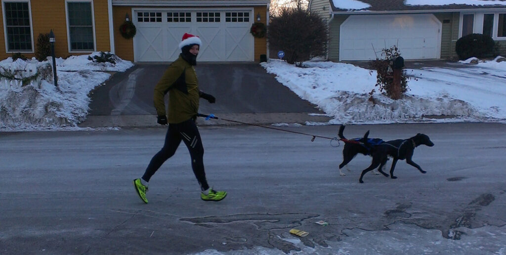 Brent W. Peterson doing a Fartlek run with his dogs Callie and Sasha